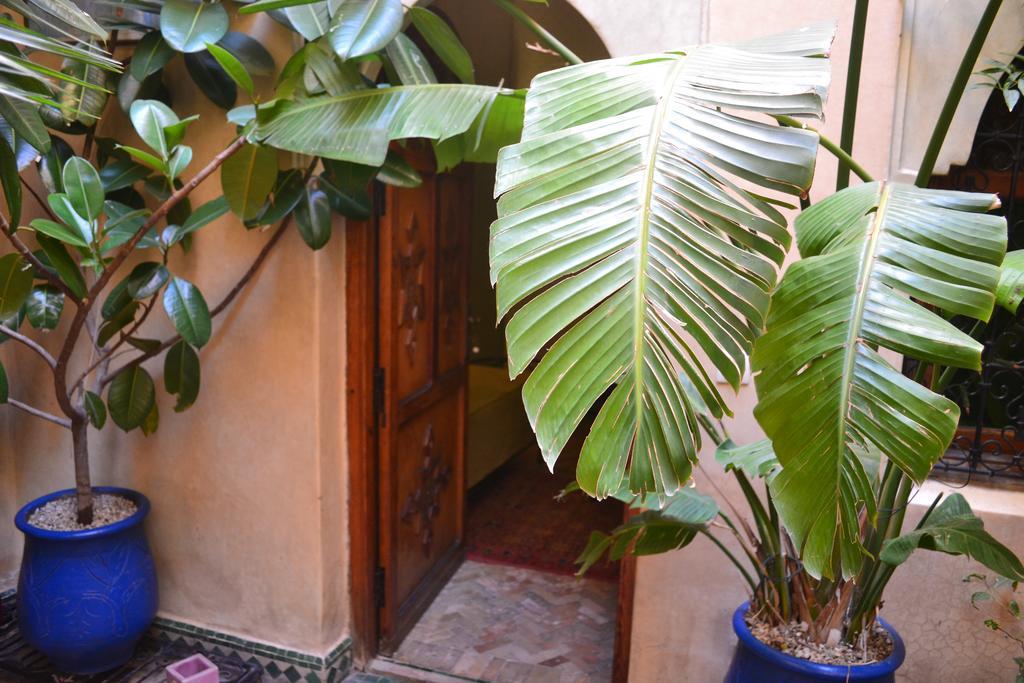 Riad Hotel Belleville Marrakech Marrakesh Exteriör bild