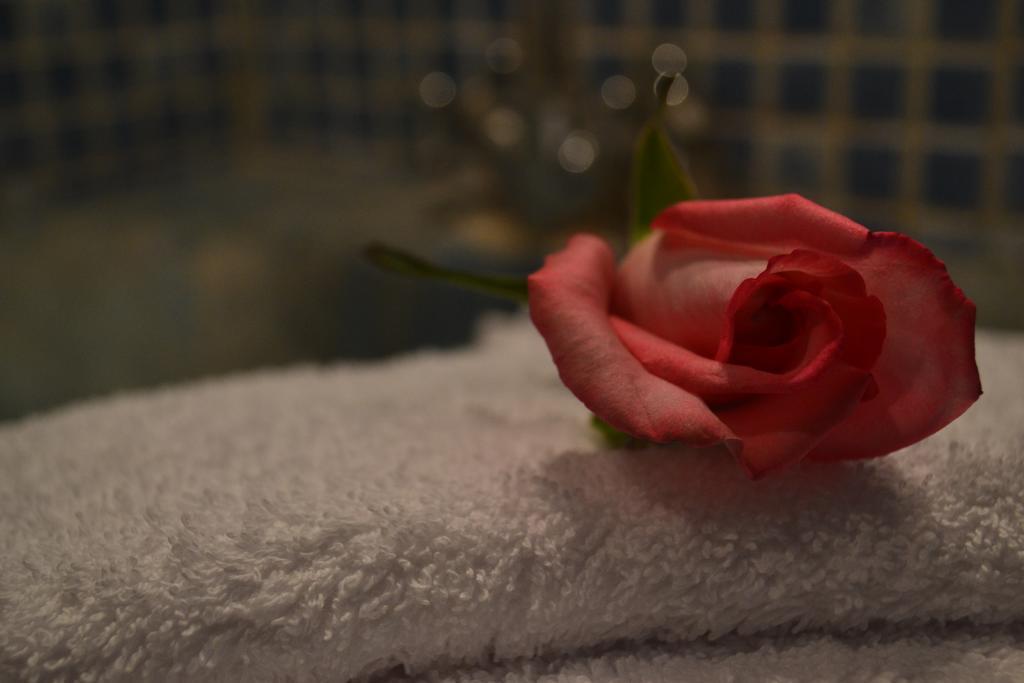Riad Hotel Belleville Marrakech Marrakesh Exteriör bild